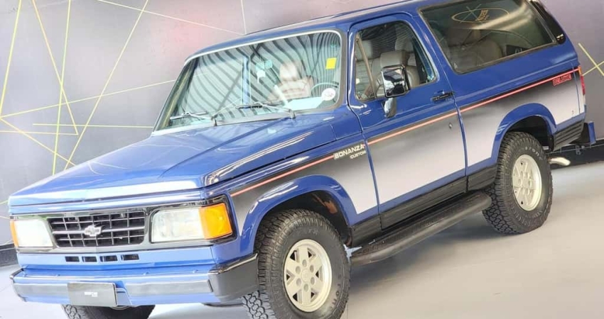 CHEVROLET BONANZA CUSTOM DELUXE 1993