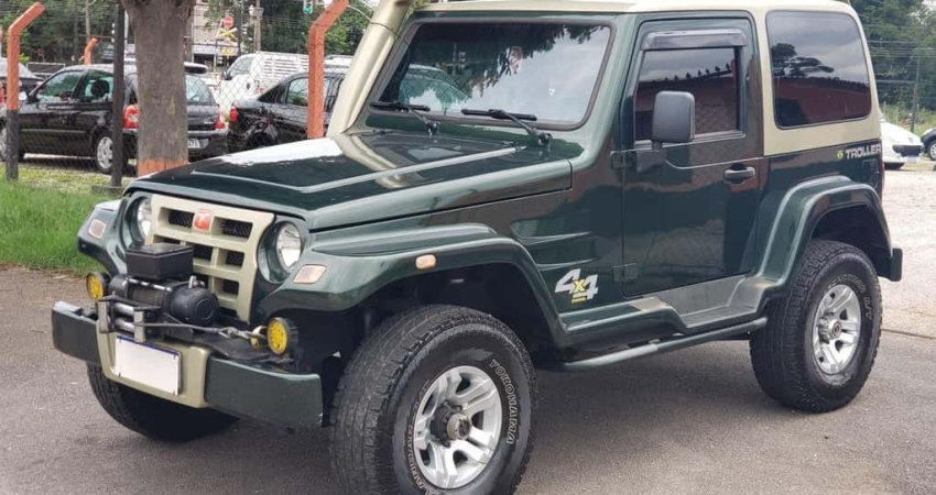 TROLLER T4 TDI 2013