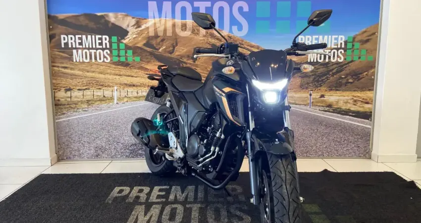 YAMAHA FZ 250 2024