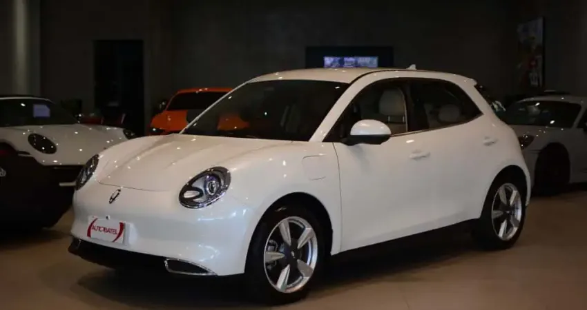 GWM ORA 03 48 KW ELÉTRICO SKIN BEV48