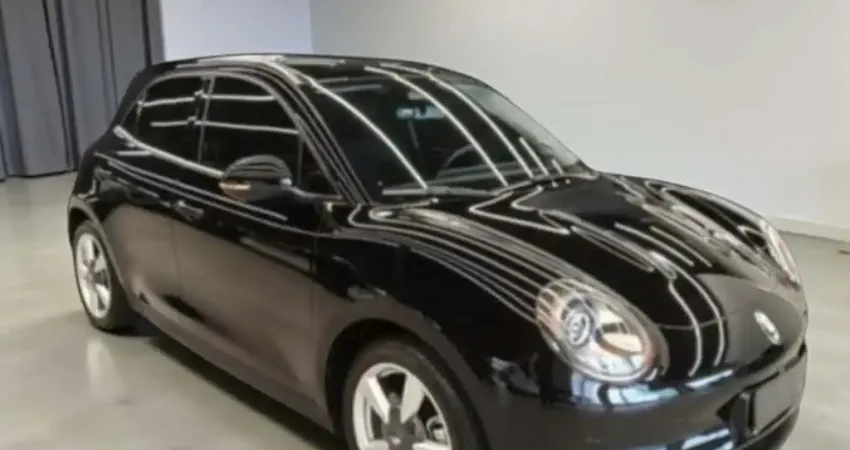 GWM ORA 03 Skin (Elétrico)