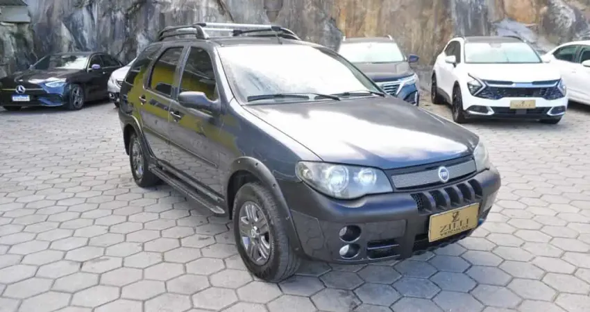 Fiat Palio Weekend ADVENTURE 1.8 MT  - Cinza - 2006/2006