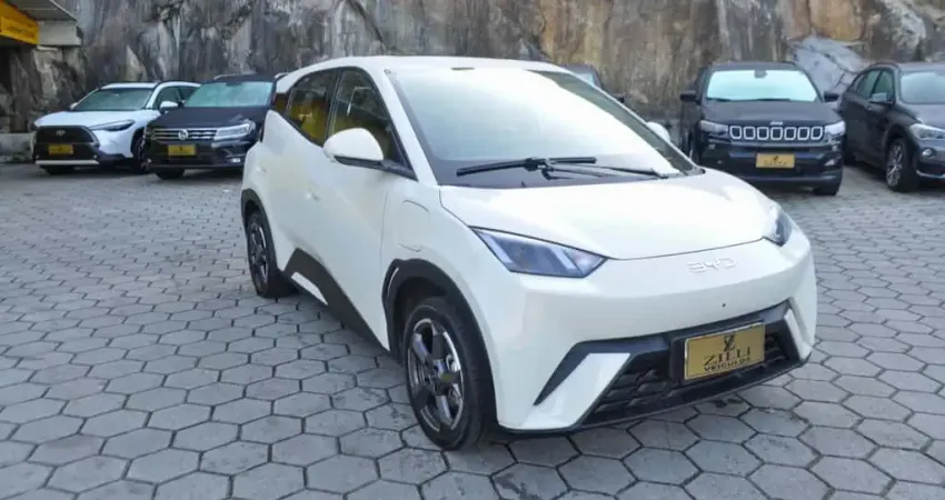 BYD Dolphin Mini (Elétrico) - Branca - 2024/2025