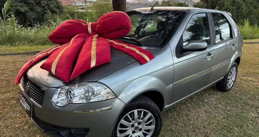 FIAT PALIO ELX FLEX 2010
