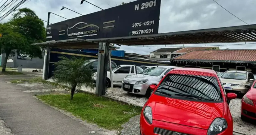 FIAT PUNTO SPORTING DUAL 2011