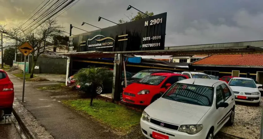 FIAT PALIO FIRE ECONOMY 2010