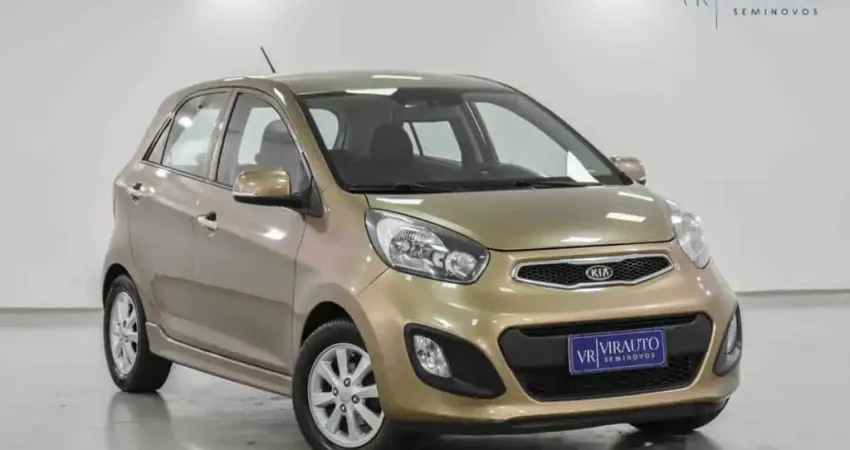 Kia Picanto 2013 1.0 ex 12v flex 4p manual