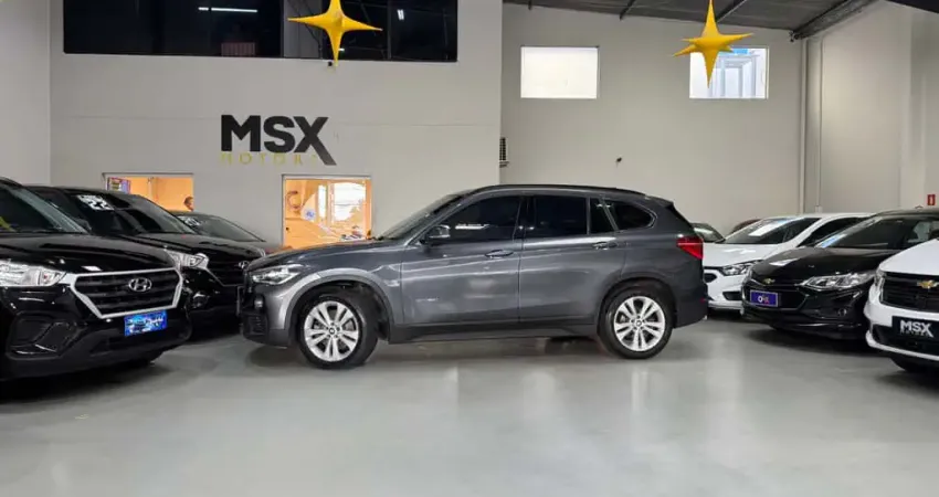 BMW X1 Flex Automático