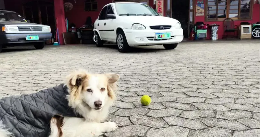 CHEVROLET CLASSIC LIFE 2008