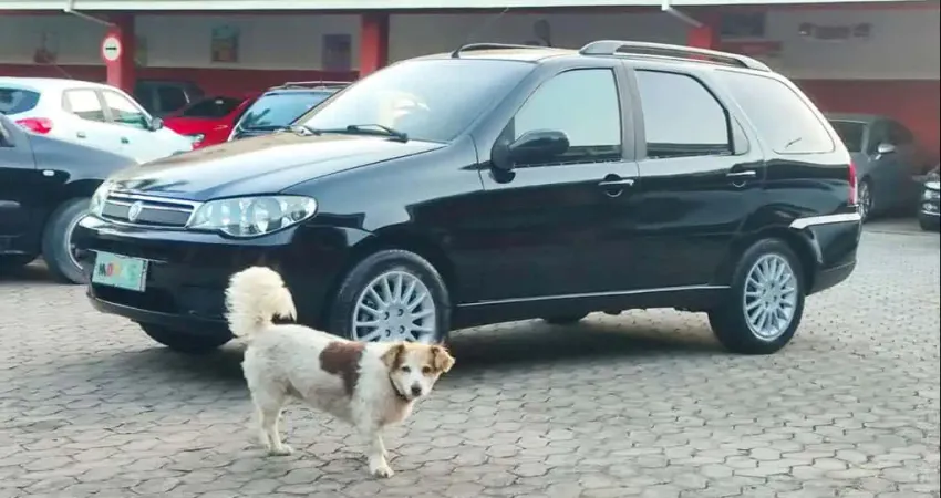 FIAT PALIO WEEK ELX FLEX 2007