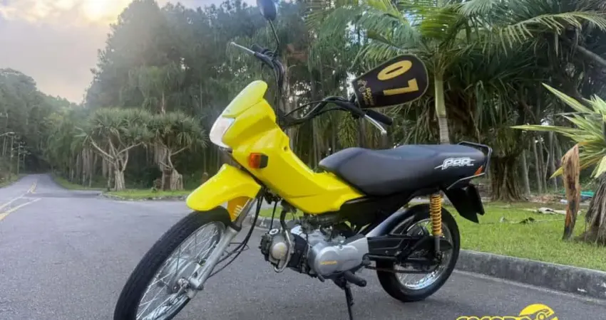 POP 100 97cc 2007 c/ 50 MIL KM