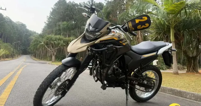 XTZ 250 LANDER 249cc/LANDER BLUEFLEX/ABS