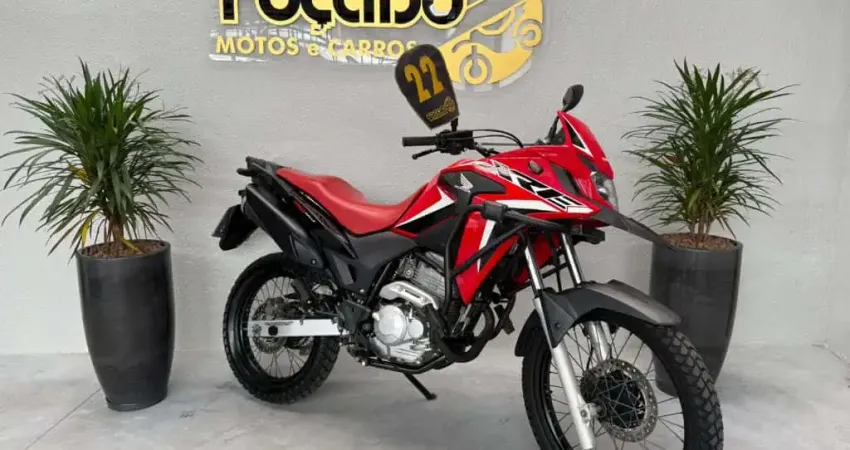 XRE 300 RALLY FLEX 2022