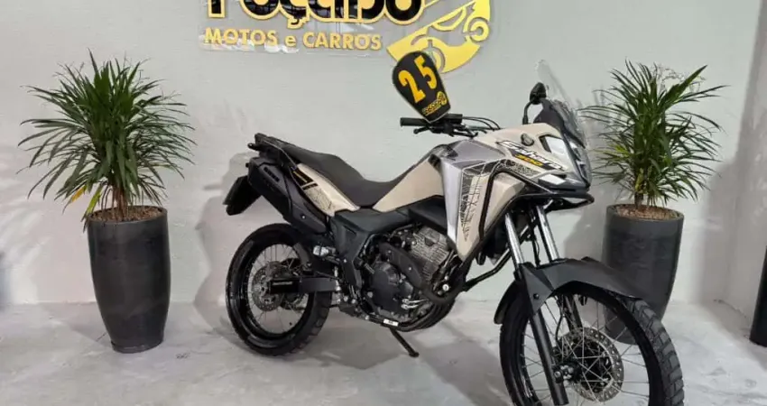 SAHARA 300 ADVENTURE ABS FLEX