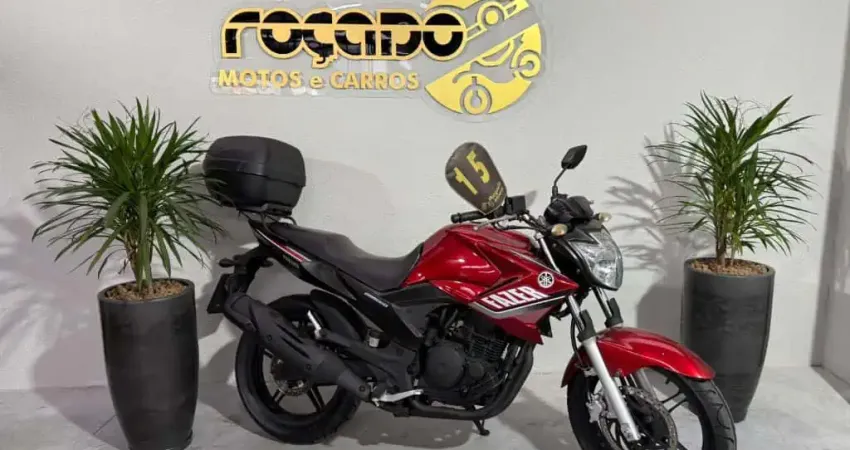 YS 250 FAZER/ FAZER L. EDITION /BLUEFLEX