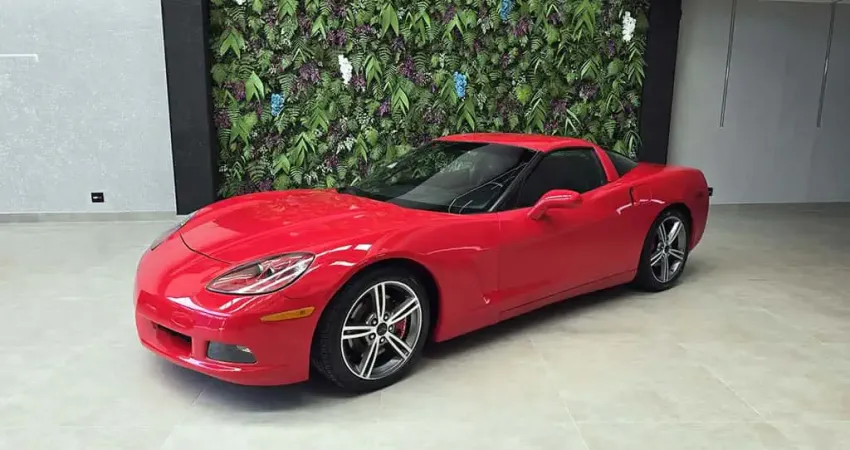 CHEVROLET CORVETTE 5.7/ 6.0, 6.2 Targa/Stingray