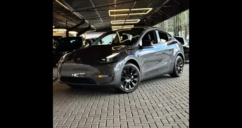 TESLA MODEL Y Model Y