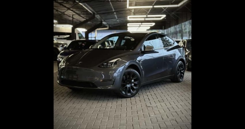 TESLA MODEL Y Model Y