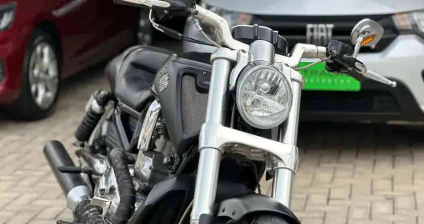 V-ROD 1250cc MUSCLE VRSCF
