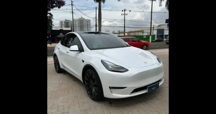 TESLA MODEL Y Model y perform