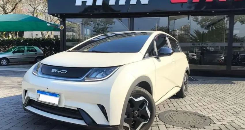 Byd Dolphin 2025 44,9 kw elétrico gs