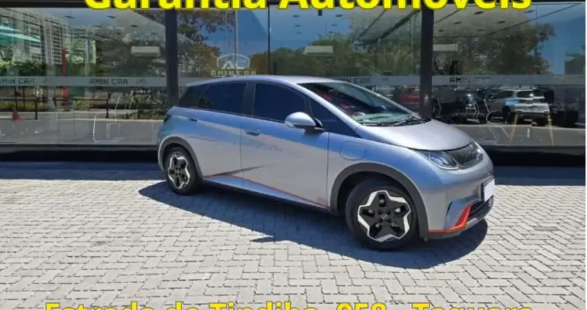Byd Dolphin 2024 44,9 kw elétrico gs