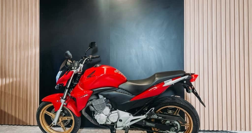HONDA CB 300R/ 300R FLEX