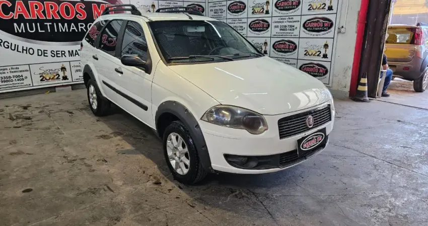 FIAT PALIO 1.4 MPI TREKKING WEEKEND 8V  FLEX 4P MANUAL 2010 VALOR R$29.900,00