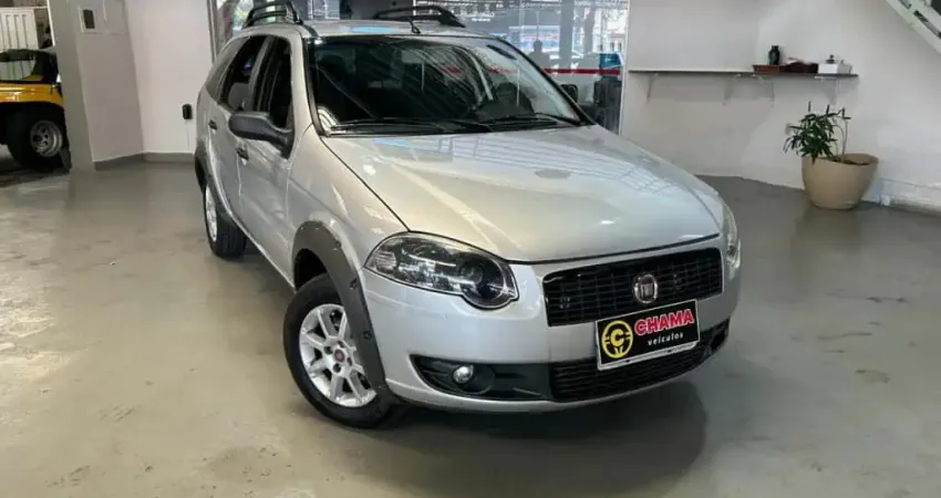 Fiat Palio 2009 1.4 mpi trekking weekend 8v flex 4p manual