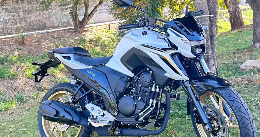 YAMAHA Fazer 250