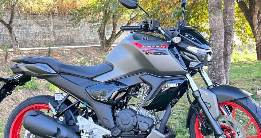 FZ15