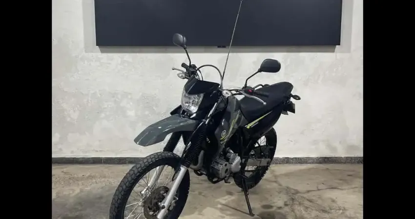 Yamaha XTZ 250 LANDER 249cc/LANDER BLUEFLEX/ABS  - Cinza - 2015/2016