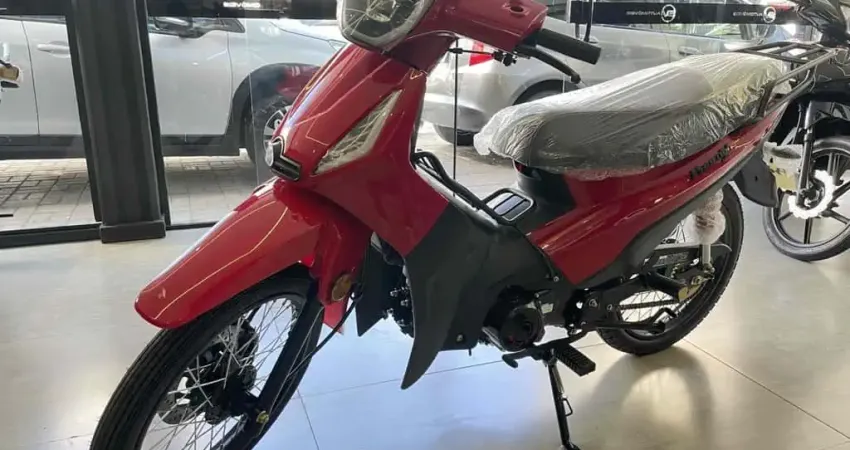 Shineray Phoenix s 50 2025