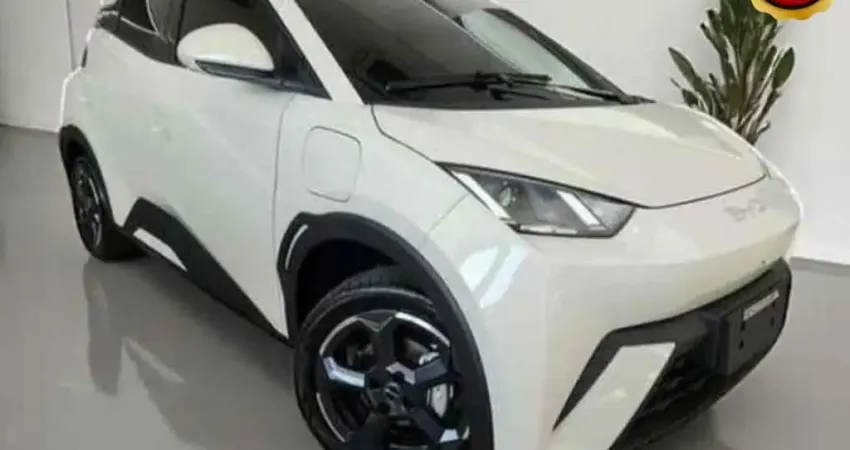 Byd Dolphin mini 2025 38 km elétrico
