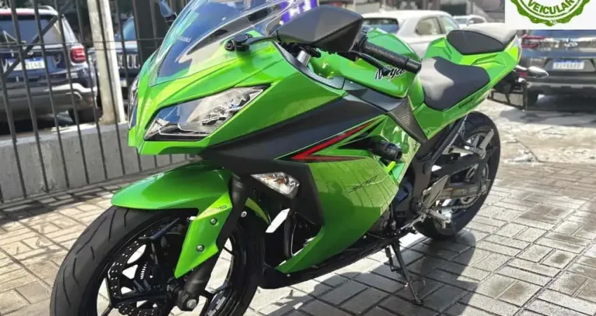 Kawasaki Ninja 300 2024
