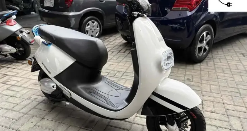 Watts Ws50 1.000w 2024