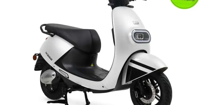 Watts Ws50 1.000w 2024