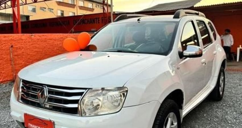 DUSTER 2011