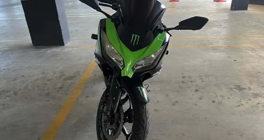 Kawasaki Ninja 300 2017