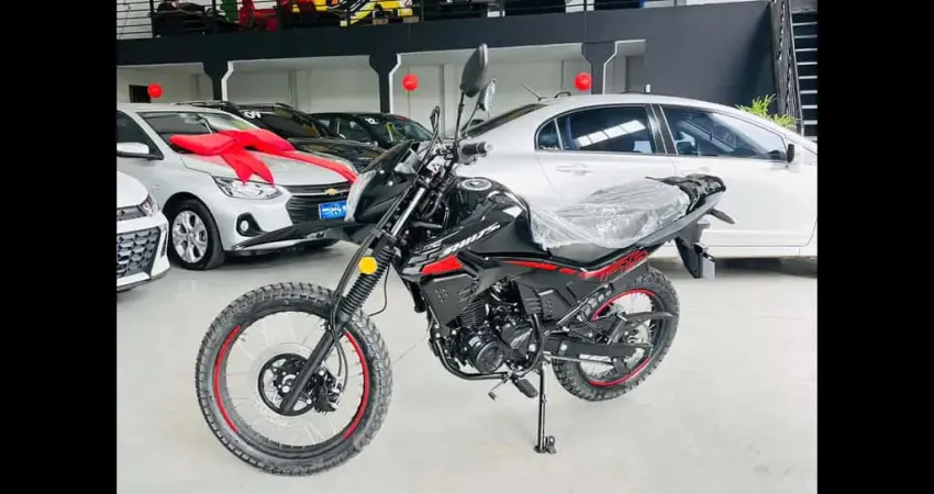 SHINERAY SHI 175 EFI 2026