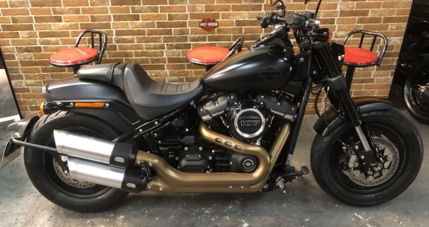 HARLEY-DAVIDSON SOFTAIL FAT BOB 107