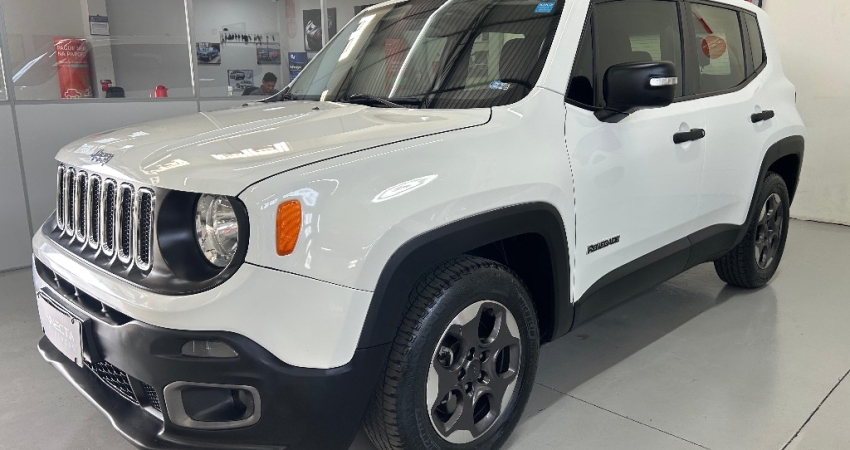 RENEGADE 1.8 FLEX AUT