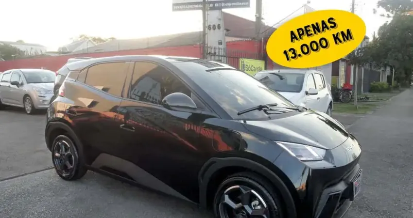 BYD DOLPHIN MINI 2025