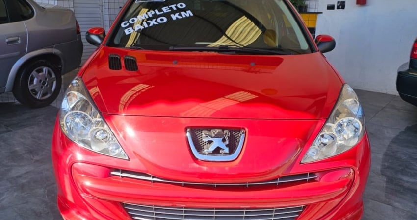 Peugeot 207 1.4 XR 8V FLEX