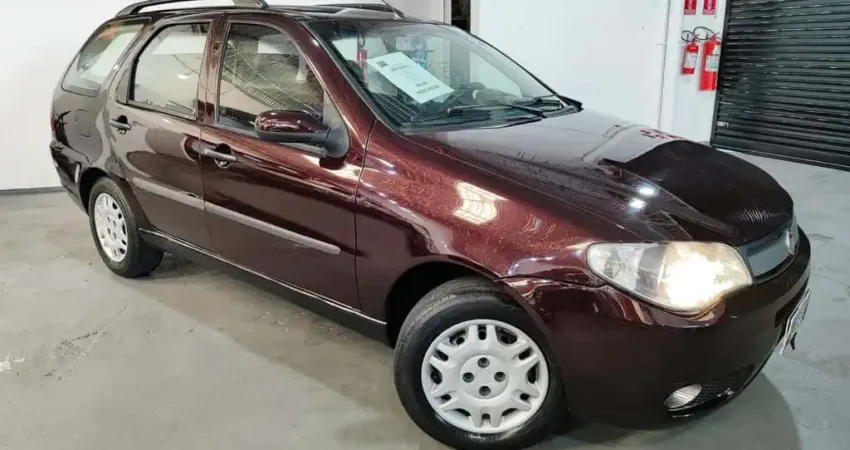 Fiat Palio Weekend Flex Manual