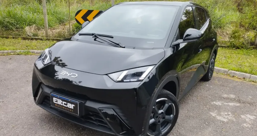 BYD Dolphin Mini EV (Elétrico) 2026