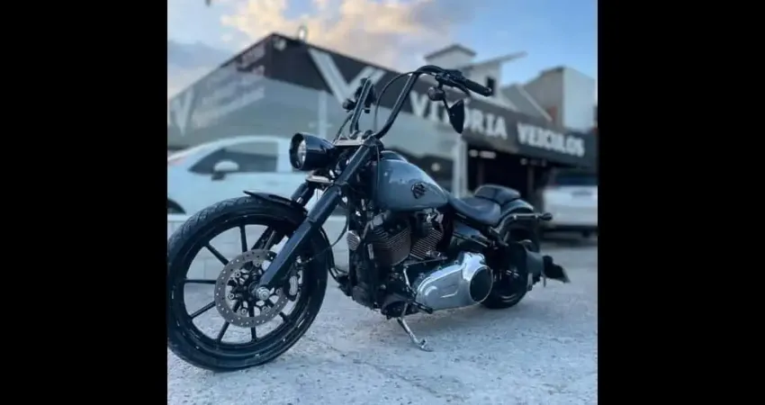 SOFTAIL BREAKOUT FXSB
