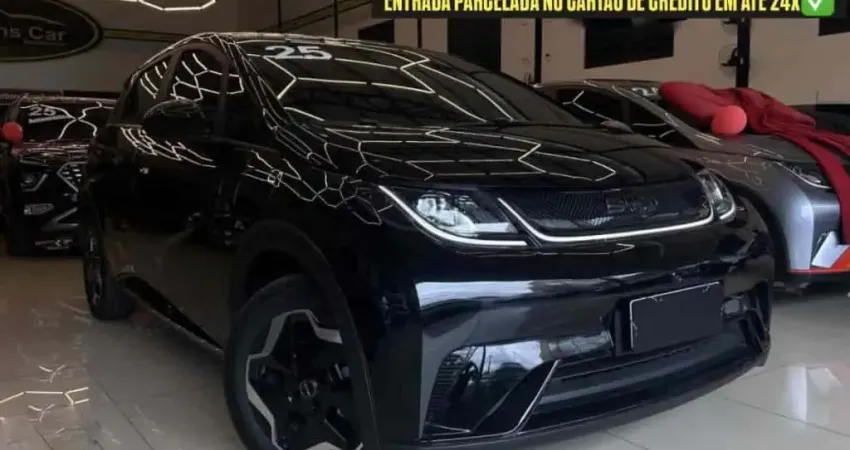 Byd Dolphin 2025 44,9 kw elétrico gs