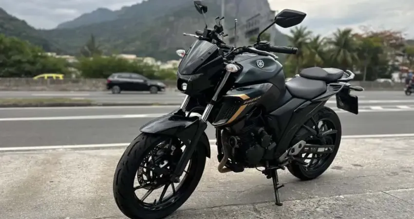 Yamaha Fz25 250 fazer flex 2024