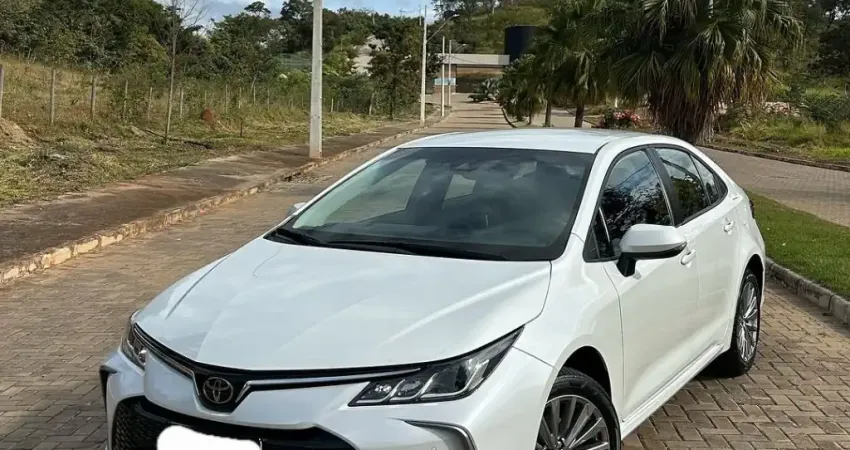 Corolla XEI